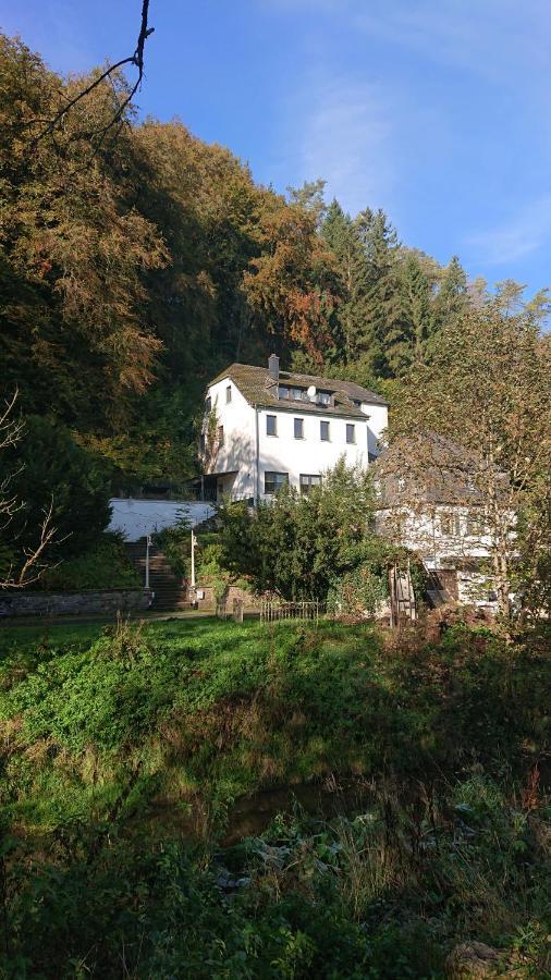 Ferienwohnung Haus Schoeneck Schönecken Екстериор снимка